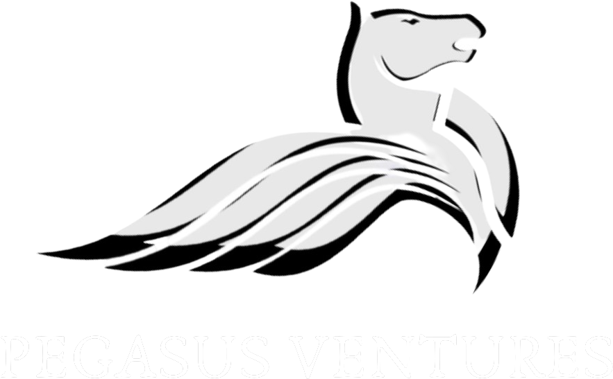 Pegasus Ventures Logo